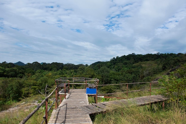Zobacz krajobraz z górskim lasem i drewnianym mostem chodnikowym Khao Lon Adventure dla Tajów i zagranicznych podróżnych, wizyta i trekking w dżungli w Sarika w Nakhon Nayok Tajlandia