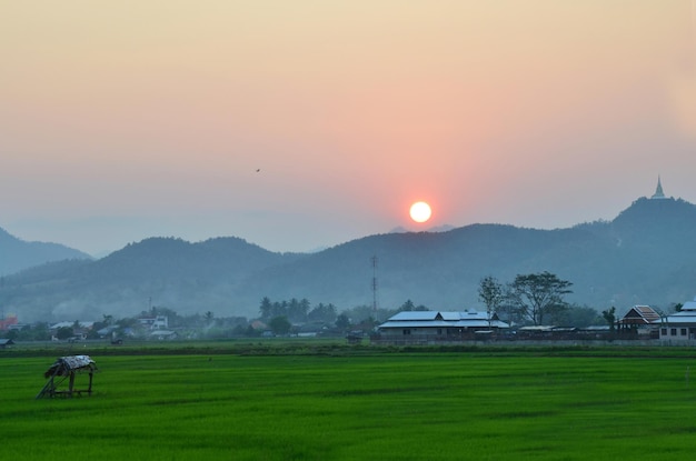 Zobacz krajobrazowe pola uprawne i pola ryżu niełuskanego na łące rolniczej pejzażu miejskiego wiejskiego i górskiego wzgórza dla Tajów podróżujących porannym wschodem słońca w mieście Mae Khachan w Chiang Rai Tajlandia