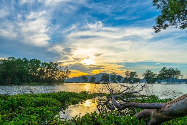 Zobacz w Bang Phra Reservoir, Sriracha, Chonburi, Tajlandia