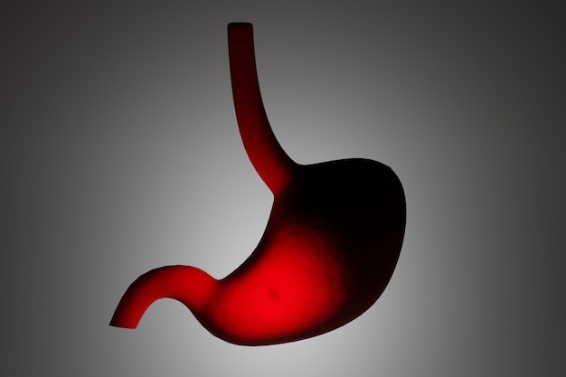 Żołądek z jasnym obszarem na szarym tle Problemy z trawieniem w żołądku Renderowanie 3d