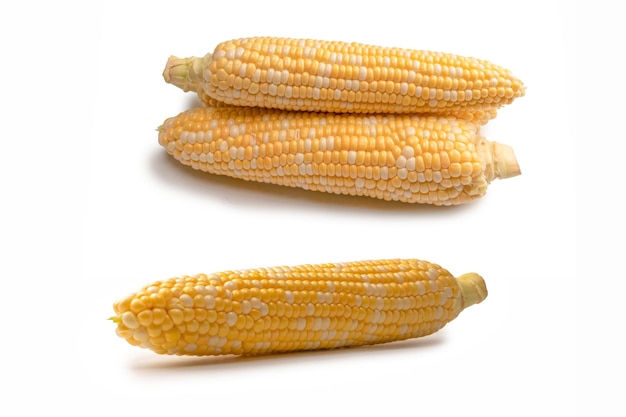 Żółta kukurydza na białym tle