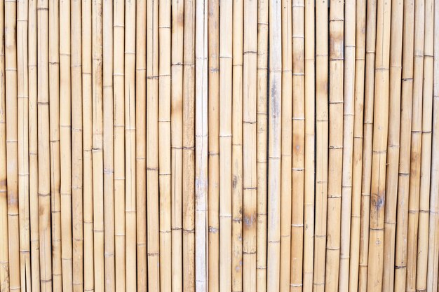 Żółta tekstura bambusa suszone bambusowe ściany lub ogrodzenia tło