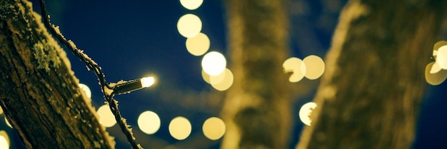 Żółte girlandy świąteczne na drzewie w nocy uliczny wystrój miasta z żółtymi żarówkami bożonarodzeniowymi z bokeh