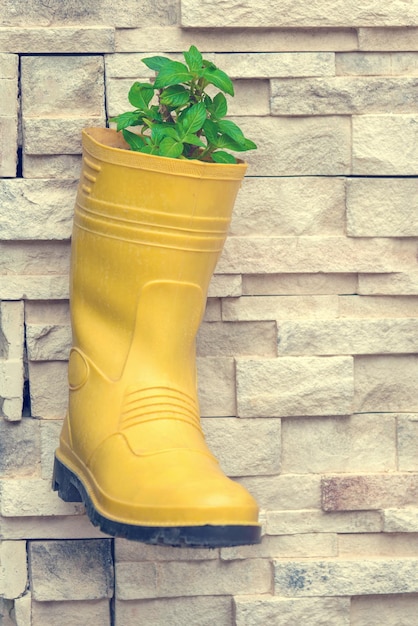 Żółte gumowe buty z rośliną na kamiennej ścianie