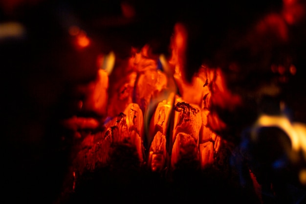 Żółte i czerwone gorące światło z węgla płonącego w kominku