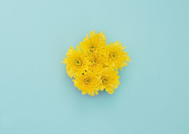 Żółte Kwiaty Na Niebieskim Tle. Płaski Styl świecki