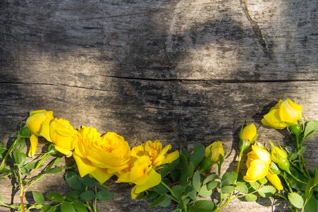 Żółte Kwiaty Róży Na Rustykalne Drewniane Tła Z Miejsca Kopii. Widok Z Góry