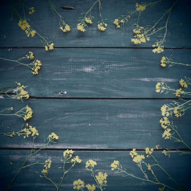 Żółte kwiaty rzepaku ułożone w okrąg na drewnianym tle polne kwiaty są starannie ułożone na