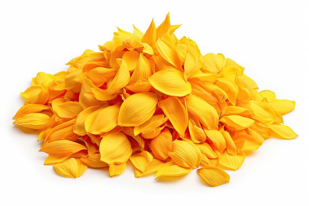 Żółte płatki Izolowane płatki słonecznika Grupa stosów płatków pomarańczowych Projekt żółtych płatków na białym