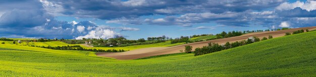 Żółte pola rzepaku wiosną z błękitnym niebem i wzgórzami naturalną eko sezonową panoramą tła kwiatowego