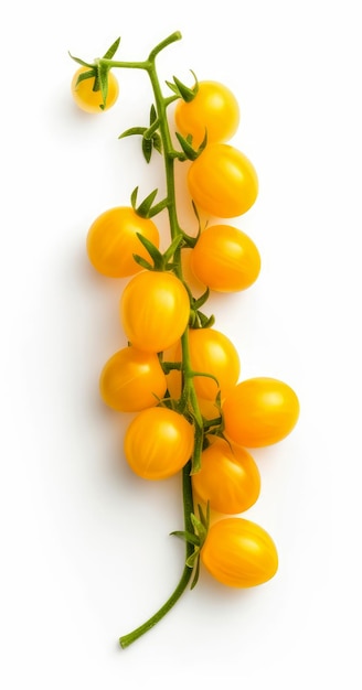 Żółte pomidory czereśniowe na gałązce