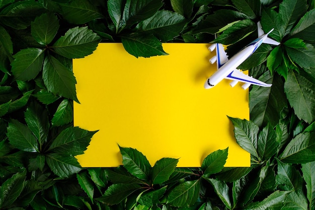 Żółte tło z zielonymi liśćmi i samolotem koncepcja podróży i rekreacji