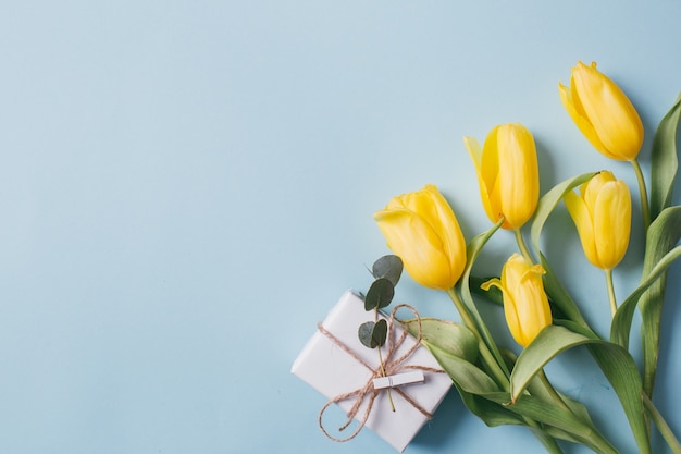 Żółte tulipany, puste miejsca na kopię i pudełka na niebieskim tle