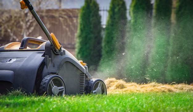 Żółty Aerator Na Zielonej Trawie