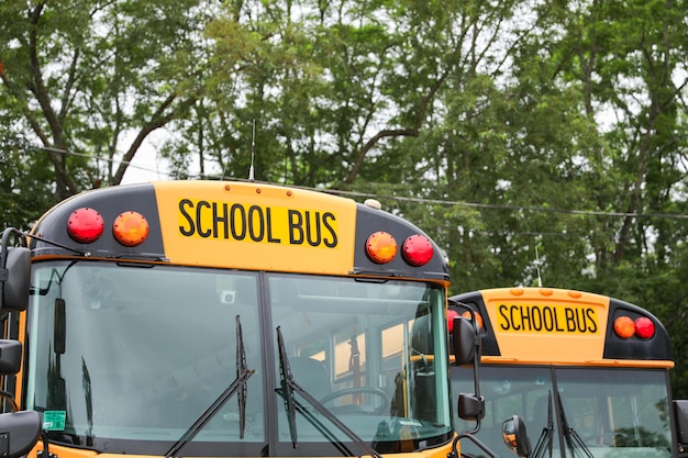 Żółty autobus szkolny z napisem "autobus szkolny".