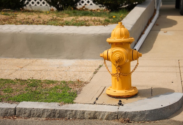 Żółty hydrant przeciwpożarowy stoi na chodniku obok krawężnika.