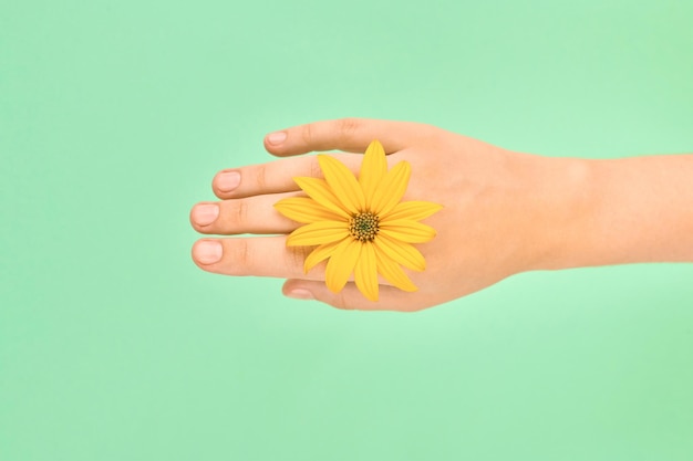 Żółty kwiat jako kobieta nadgarstek obrączka biżuteria flowerhead na kobiecej dłoni na zielonym tle