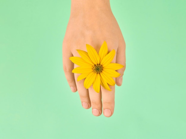 Żółty kwiat jako kobieta nadgarstek obrączka biżuteria flowerhead na kobiecej dłoni na zielonym tle