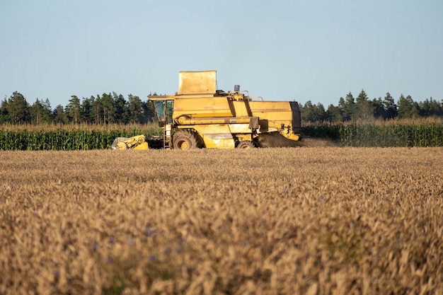 żółty traktor na polu z niebieskim niebem na tle.