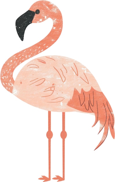 zoo elementy klipart