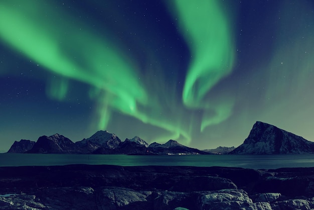 Zorza polarna Aurora Borealis świeci na zielono na nocnym gwiaździstym niebie w zimie Lofoty Norwegia