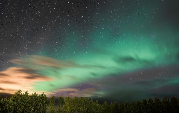 Zorza polarna nad Islandią