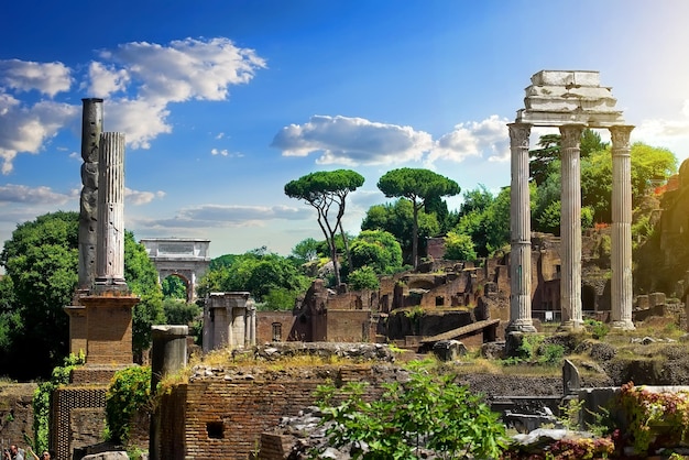 Zrujnowane Forum Romanum w słoneczny dzień, Włochy