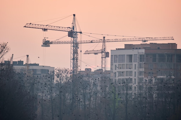 Żurawie wieżowe na budowie wysokich budynków mieszkalnych. Rozwój nieruchomości.