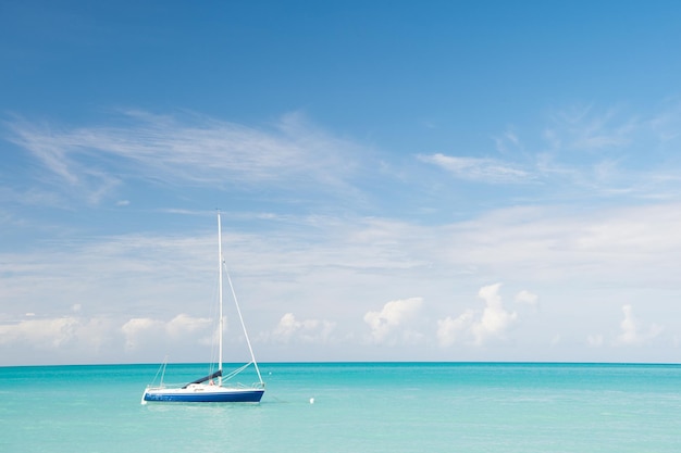 Zwrotnik morze idylla Woda rozrywka antigua stjohns all inclusive Idylliczna scena tropikalny wakacje nad morzem Motor żaglowiec ocean niebieski woda Wakacje rozrywka tropikalne egzotyczne wyspy