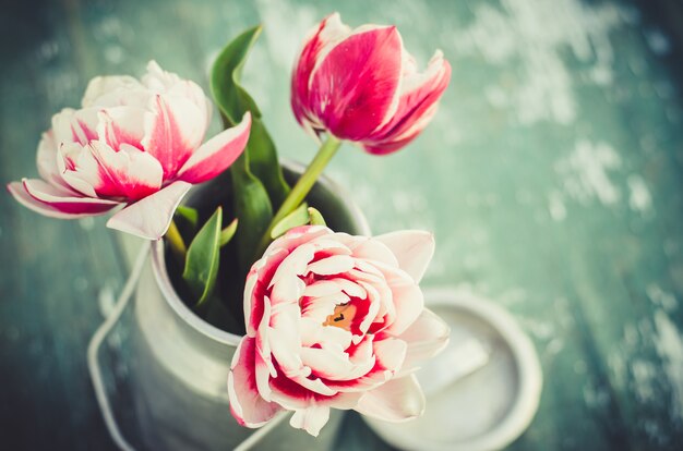 Życie w chacie, bukiet tulipanów w puszce aluminiowej.