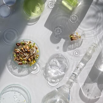 Żywność makrobiotyczna mieszanka świeżych kiełków w szklanym słoju wartość odżywcza mieszanki do kiełkowania zielone świeże rośliny w laboratorium długie cienie rozpryski wody probówki z chemikaliami okrągłe naczynia szklane fiolki
