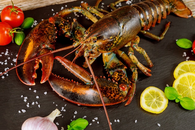 Żywy, surowy, niegotowany homar z pikantnym gotowym do przyrządzenia na czarnej desce.