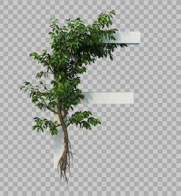 3d rendering of creeping tree on alphabet f