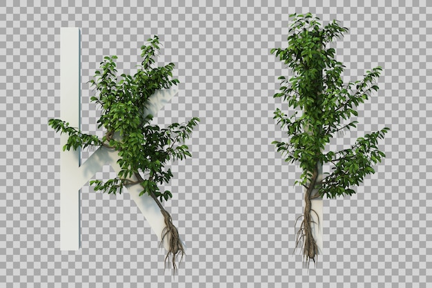 3d rendering of creeping tree on alphabet k and alphabet l