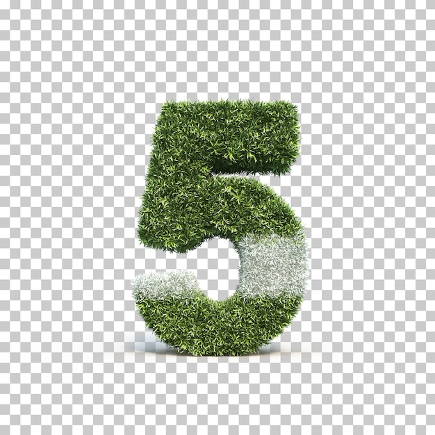 3D rendering of grass playing field number 5