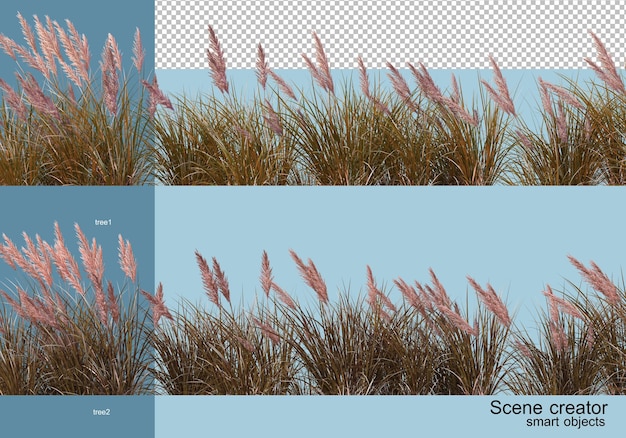 3D rendering various types of trees