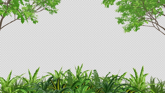 3d tree isolated 
