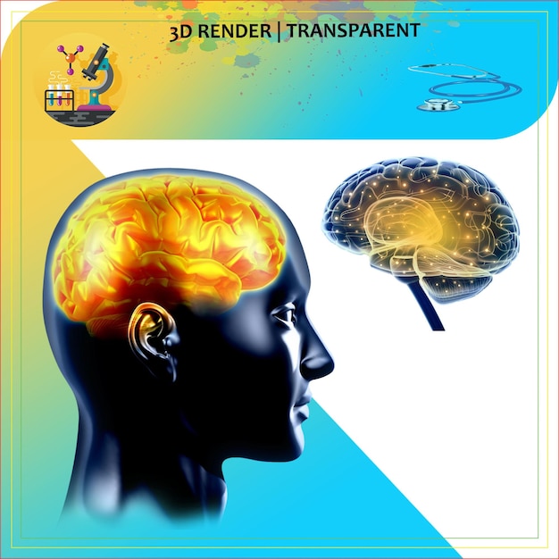 a poster for 3d model of a human head with the brain being made by the artist