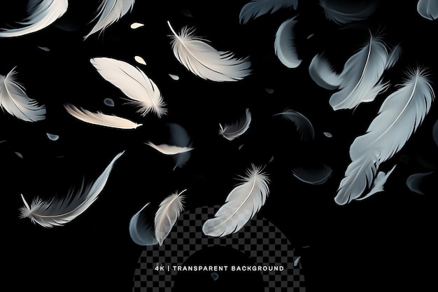 Abstract White Bird Feathers Falling in The Air