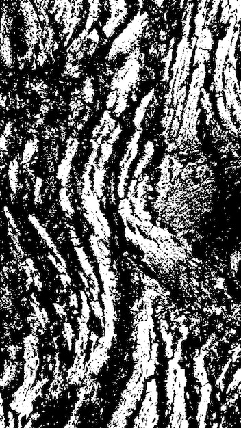 black tree bark texture bark on a white background old tree background vector wooden grunge texture