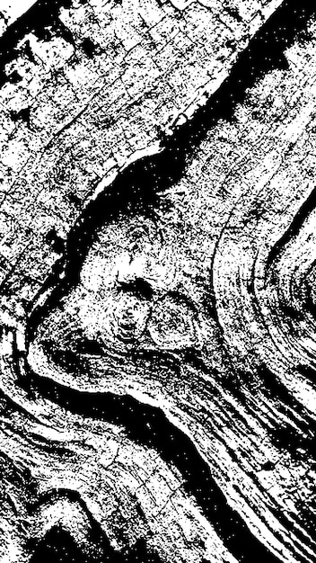 Black tree bark texture Bark on a white background Old tree background vector wooden grunge texture
