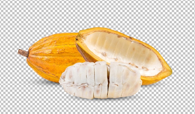Ca cao tách nền alpha