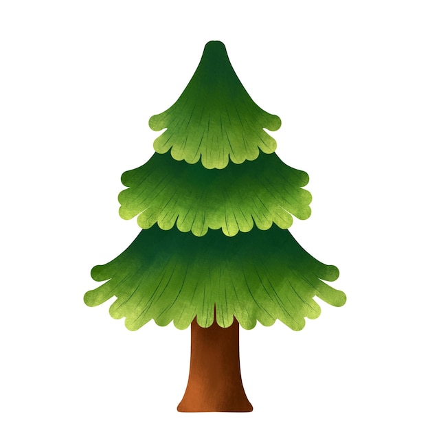 Christmas tree illustration no decoration pine tree illustration textured drawing art style