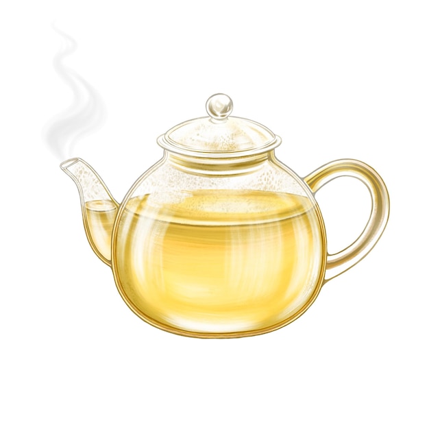 Glass teapot of green tea Aromatic hot green tea isolated on white background Watercolor art