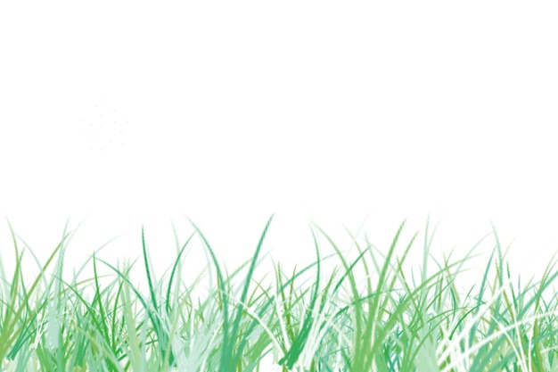 Green grass with a white background and a green grass background