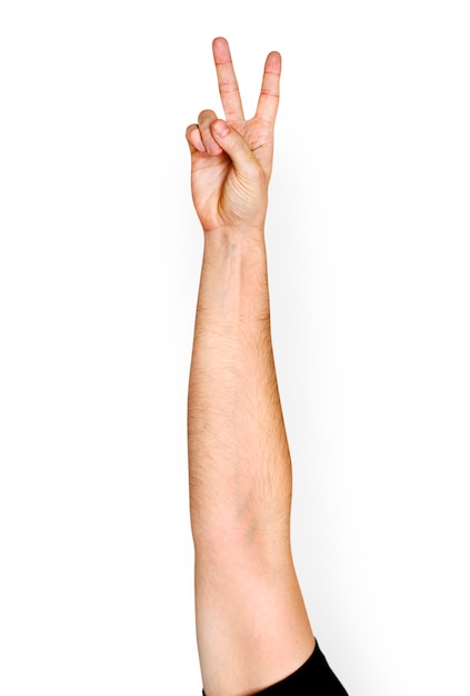 hand gesture isolate on white background