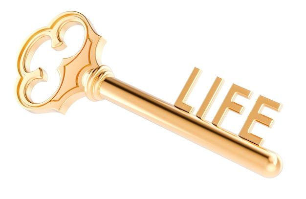 Key to Life concept 3D rendering isolated on transparent background