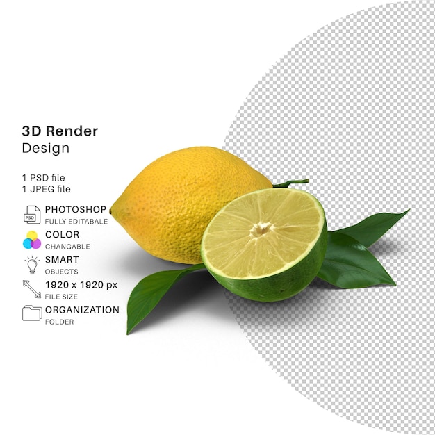 lemon and lime 3d modeling psd file realistic lemon