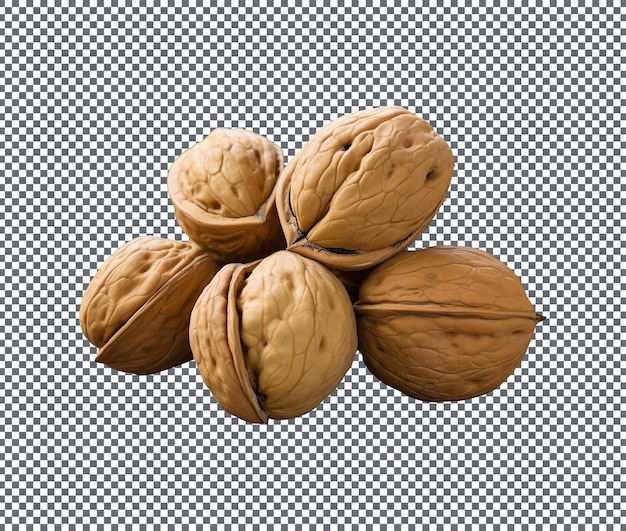 Magnificent Juglans Regia isolated on white background