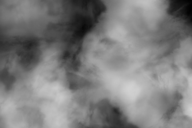 mountain mist